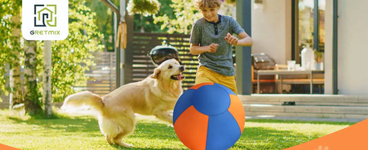The Best Way to Tire Out Your Pup: Why Every High Energy Dog Needs a Herding Ball