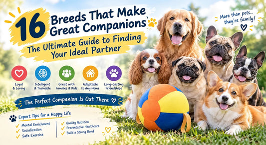 16 Breeds That Make Great Companions: The Ultimate Guide to Finding Your Ideal Partner