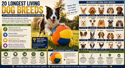 20 Longest Living Dog Breeds: Vet-Approved Secrets to Boosting Your Dog’s Lifespan
