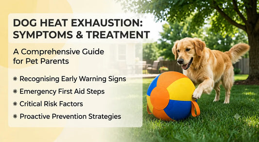 Heat Exhaustion in Dogs: The Ultimate Guide to Prevention, Symptoms, and Treatment