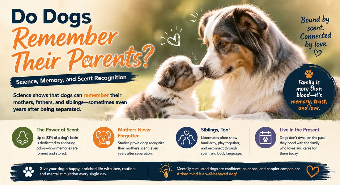 Do Dogs Remember Their Parents? Science, Memory, and Scent Recognition