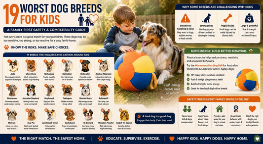 19 Worst Dog Breeds for Kids: A Family-First Safety and Compatibility Guide