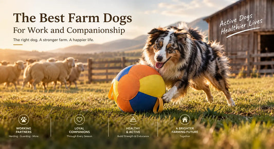 10 Best Farm Dog Breeds for Work and Companionship: The Ultimate Homestead Guide