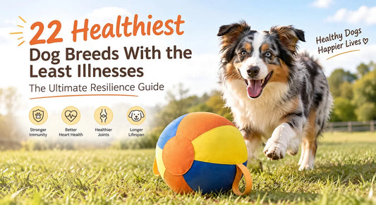 22 Healthiest Dog Breeds With the Least Illnesses: The Ultimate Resilience Guide