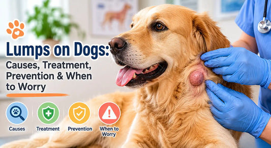 Lumps on Dogs: Causes, Treatment, Prevention & When to Worry