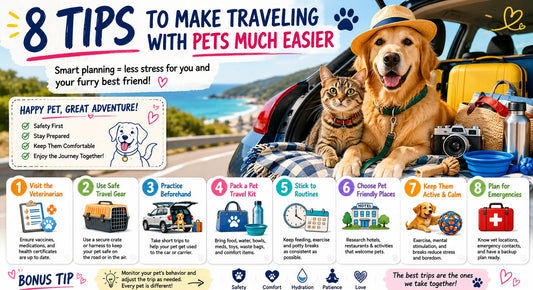8 Tips to Make Traveling with Pets Much Easier: The Complete Guide for Stress-Free Adventures