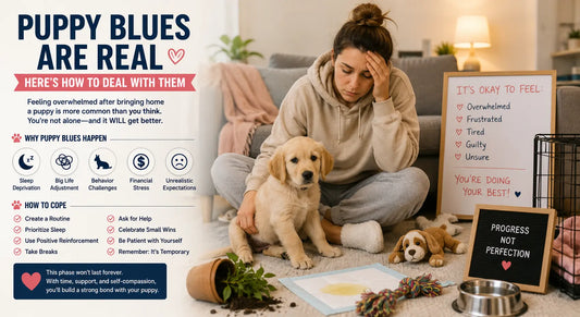 Puppy Blues Are Real—Here's How to Deal With Them