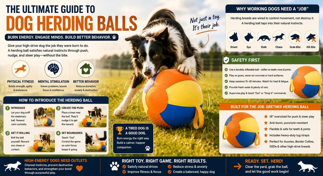 The Ultimate Guide to Dog Herding Balls: How to Channel Your High-Drive Pup’s Natural Instincts