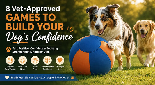8 Confidence-Building Games for Dogs: Vet-Approved Activities