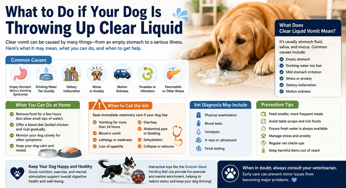 What to Do if Your Dog Is Throwing Up Clear Liquid: Causes, Treatment, and When to Worry