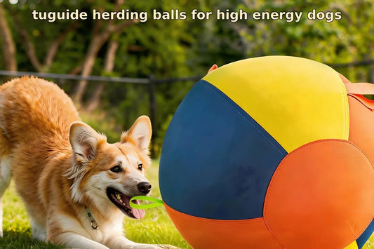 Tap into the Herding Instinct: Why a Herding Ball is the Ultimate Burn-Out Tool for High-Energy Dogs