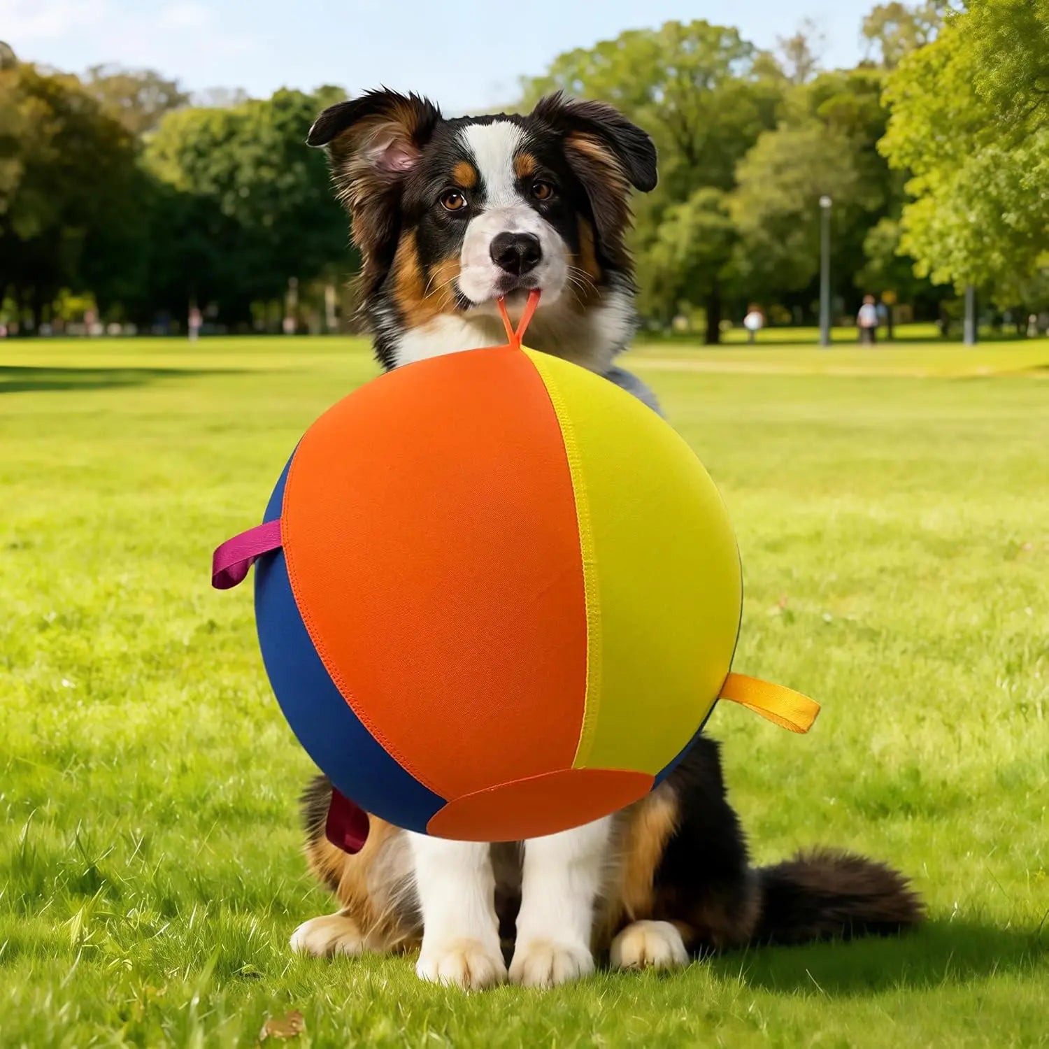 Giant 18 inch herding ball for large dog breeds.