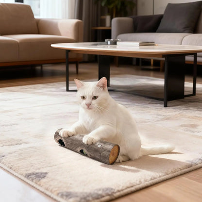 Active-kitten-pouncing-on-rolling-cat-puzzle-box