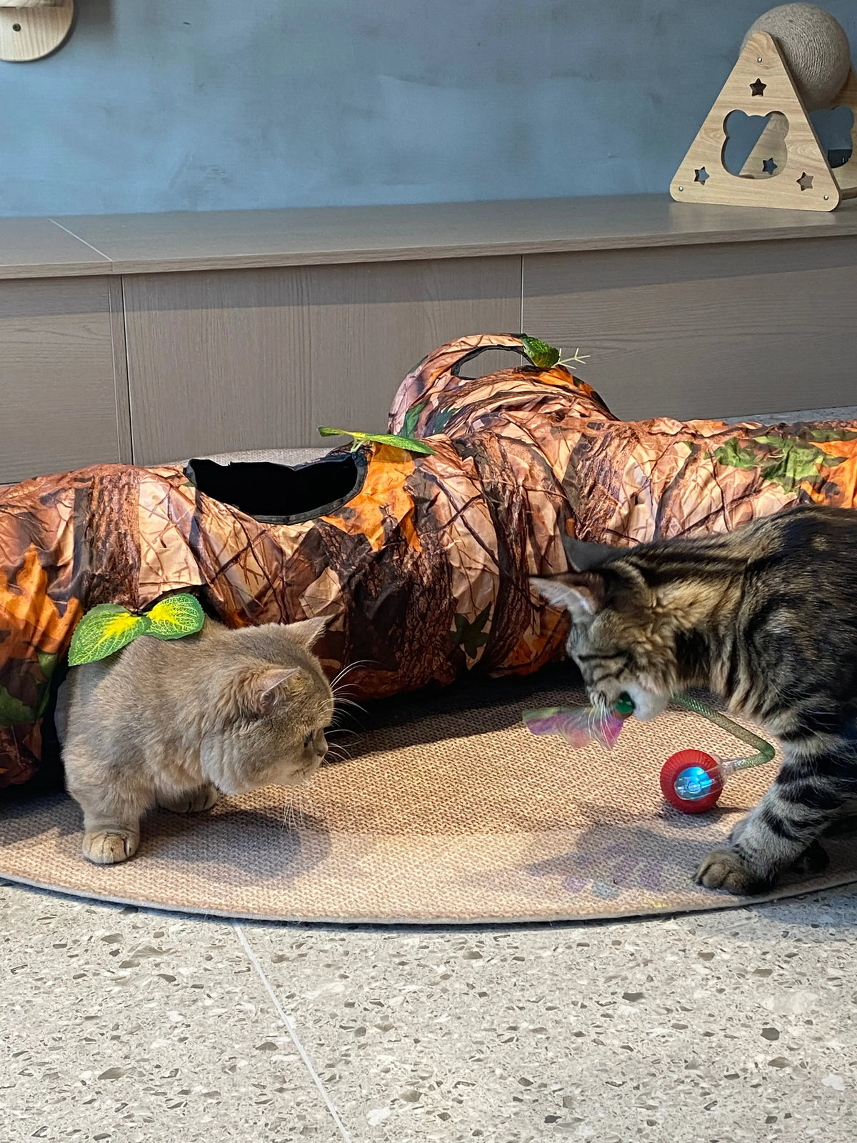 Ultra-realistic tree trunk design satisfies your cat's instinct to hide, stalk, and explore.