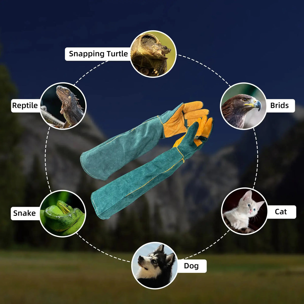 WarmMore Inc. animal handling gloves in green and yellow designed for reptiles, birds, cats, dogs, snakes, and snapping turtles