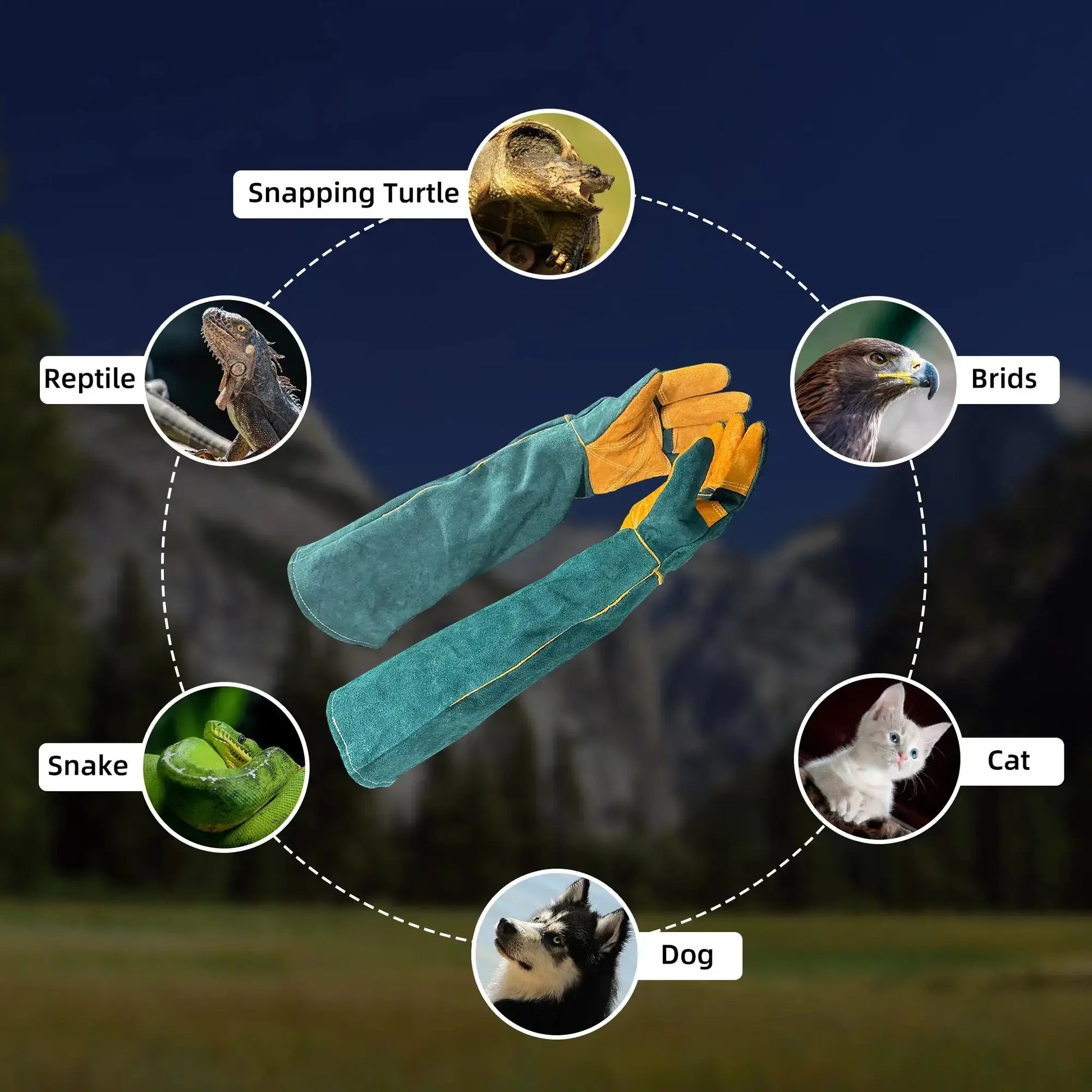 WarmMore Inc. animal handling gloves in green and yellow designed for reptiles, birds, cats, dogs, snakes, and snapping turtles