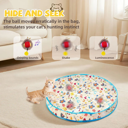 Infographic showing slow fast and interactive modes on cat ball