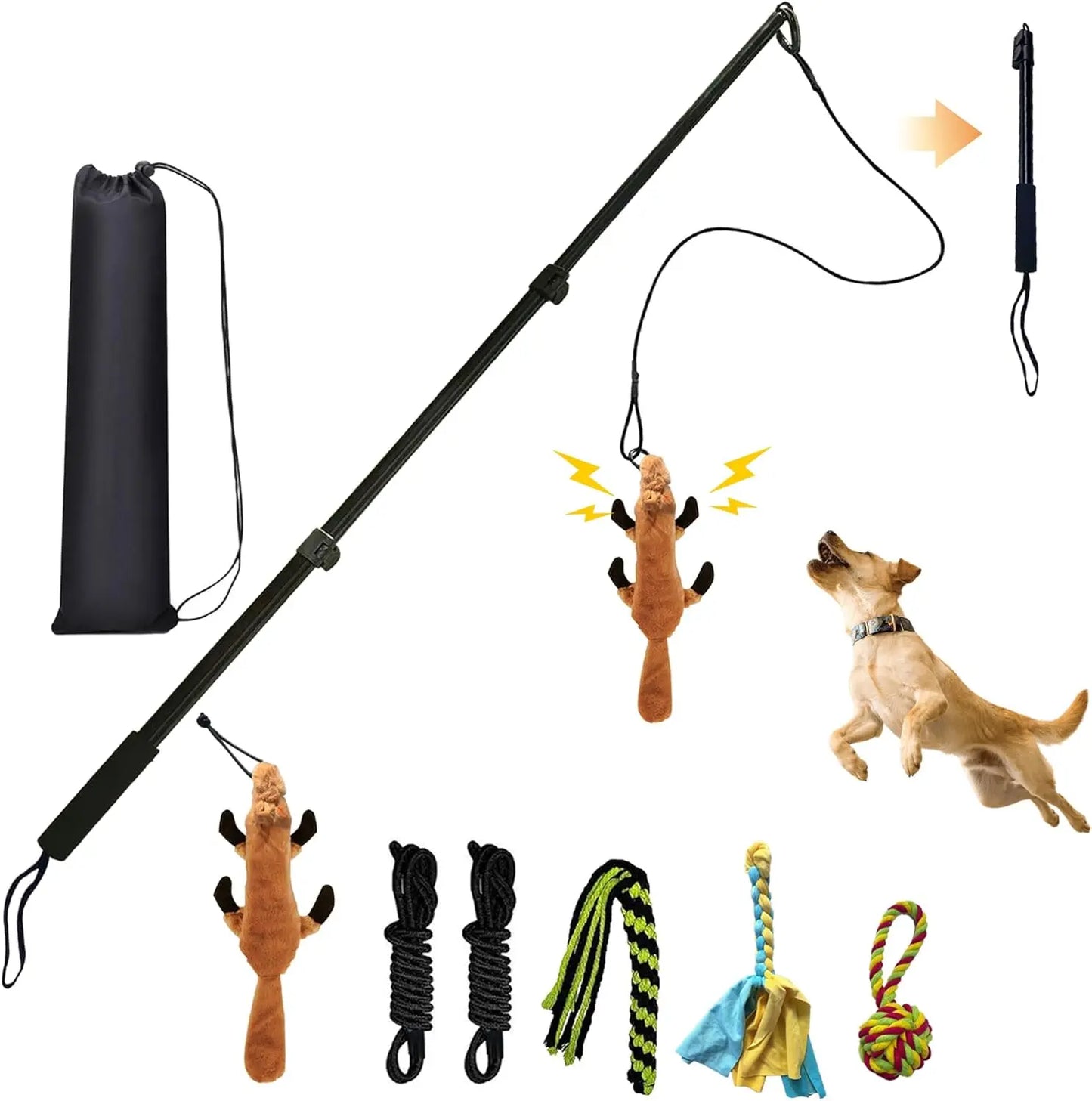 WarmMore Inc flirting pole for dog and puppy training with six interchangeable toys and carrying case