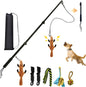 WarmMore Inc flirting pole for dog and puppy training with six interchangeable toys and carrying case