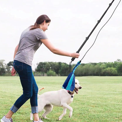 WarmMore Inc flirt pole for dogs used by woman outdoors for dog and puppy training with white dog playing