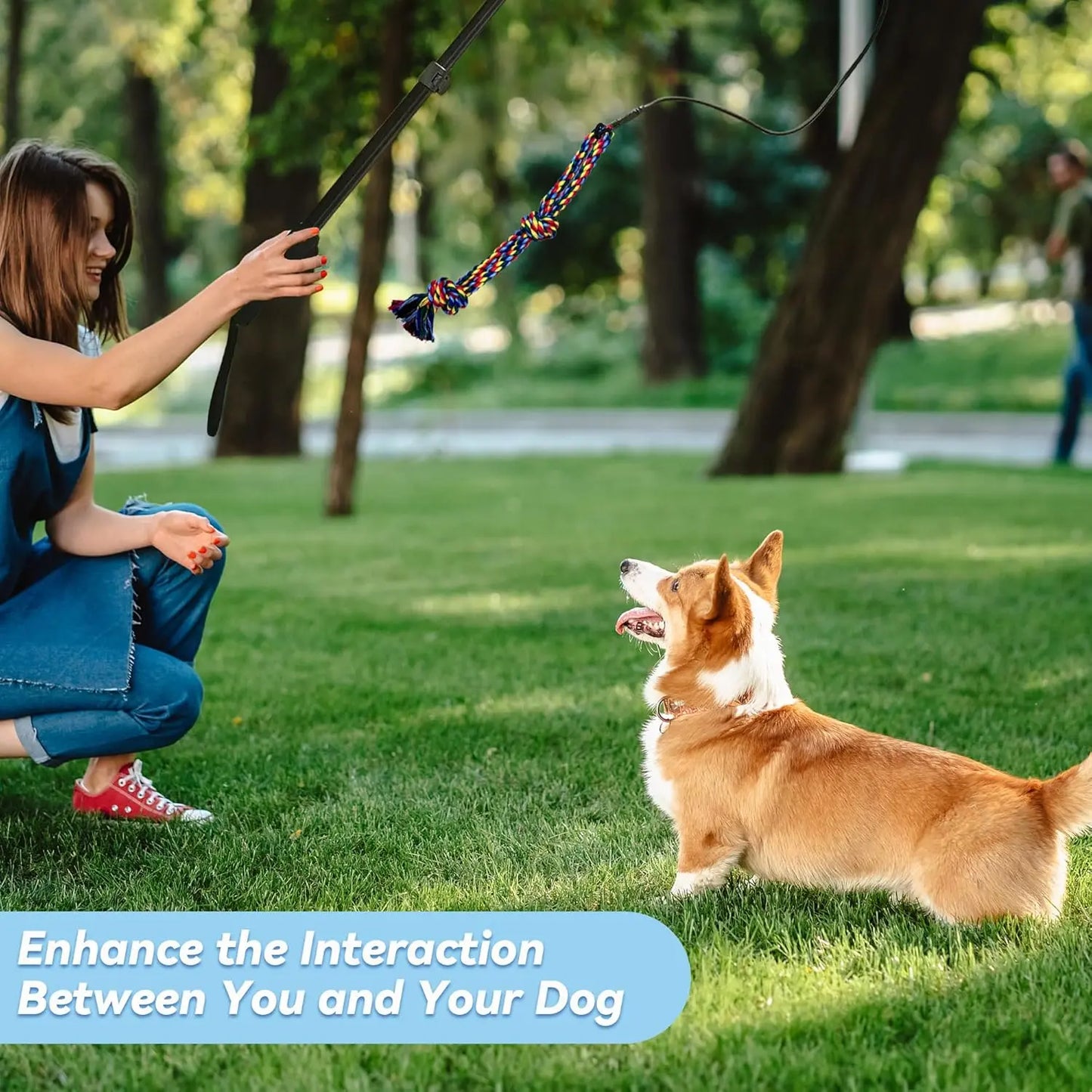 WarmMore Inc flirt pole for dogs being used by woman for dog and puppy training outdoors with corgi