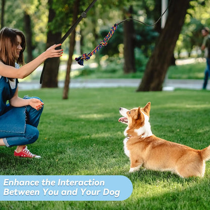 WarmMore Inc flirt pole for dogs being used by woman for dog and puppy training outdoors with corgi