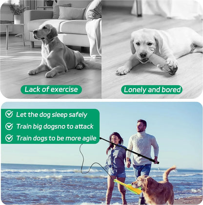 AmaCielo retractable flirt pole dog used by couple playing with energetic dog on the beach