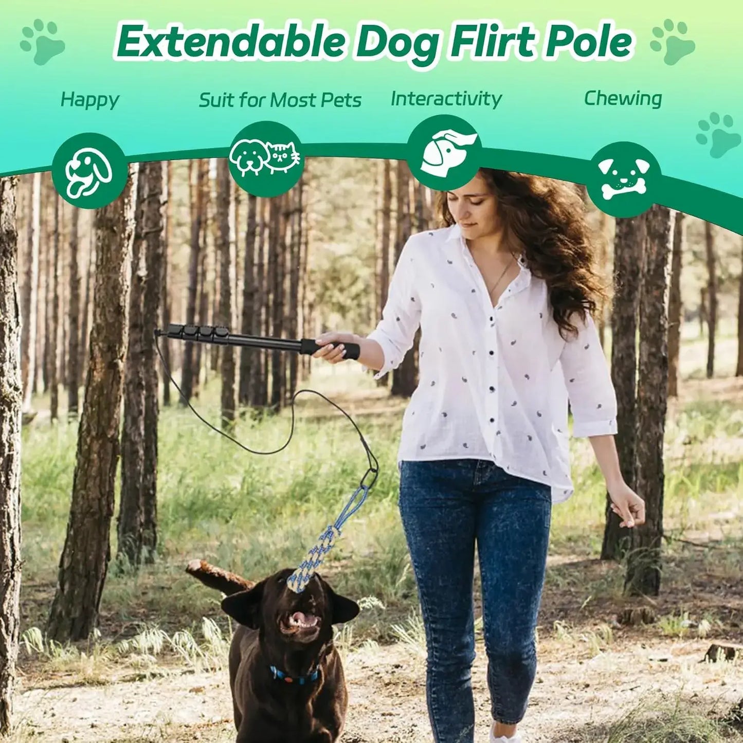 AmaCielo retractable flirt pole dog with woman playing outdoors in forest with Labrador