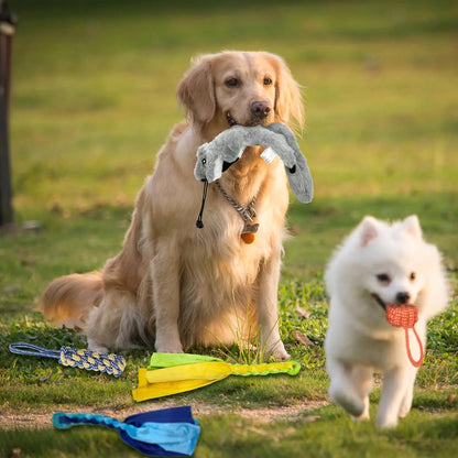 Golden retriever holding plush toy attached to AmaCielo retractable flirt pole dog in park