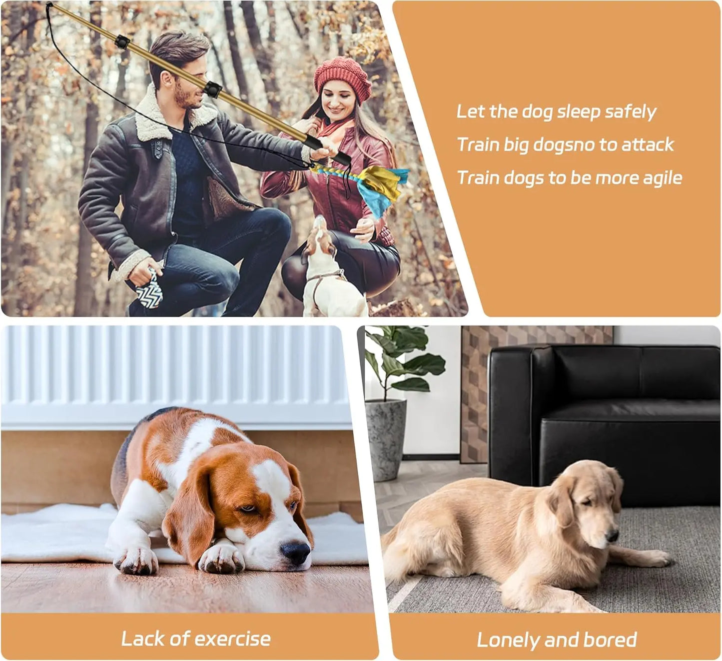 AmaCielo Flirt Pole used by a man and woman training an agile dog outdoors to prevent boredom and lack of exercise