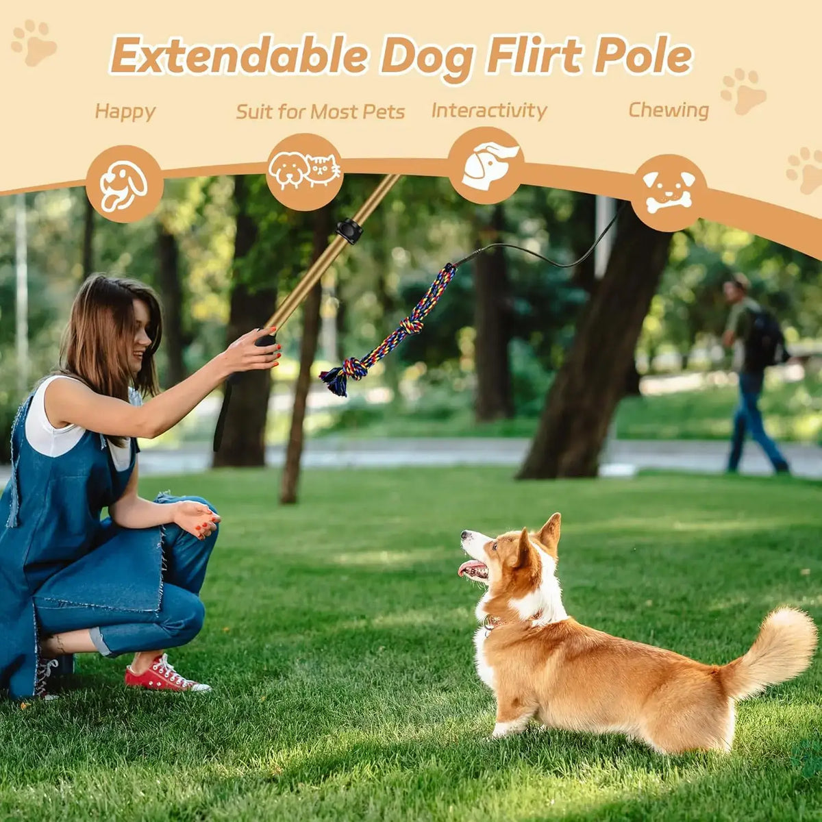 AmaCielo extendable dog Flirt Pole with woman playing and a corgi on grass in park