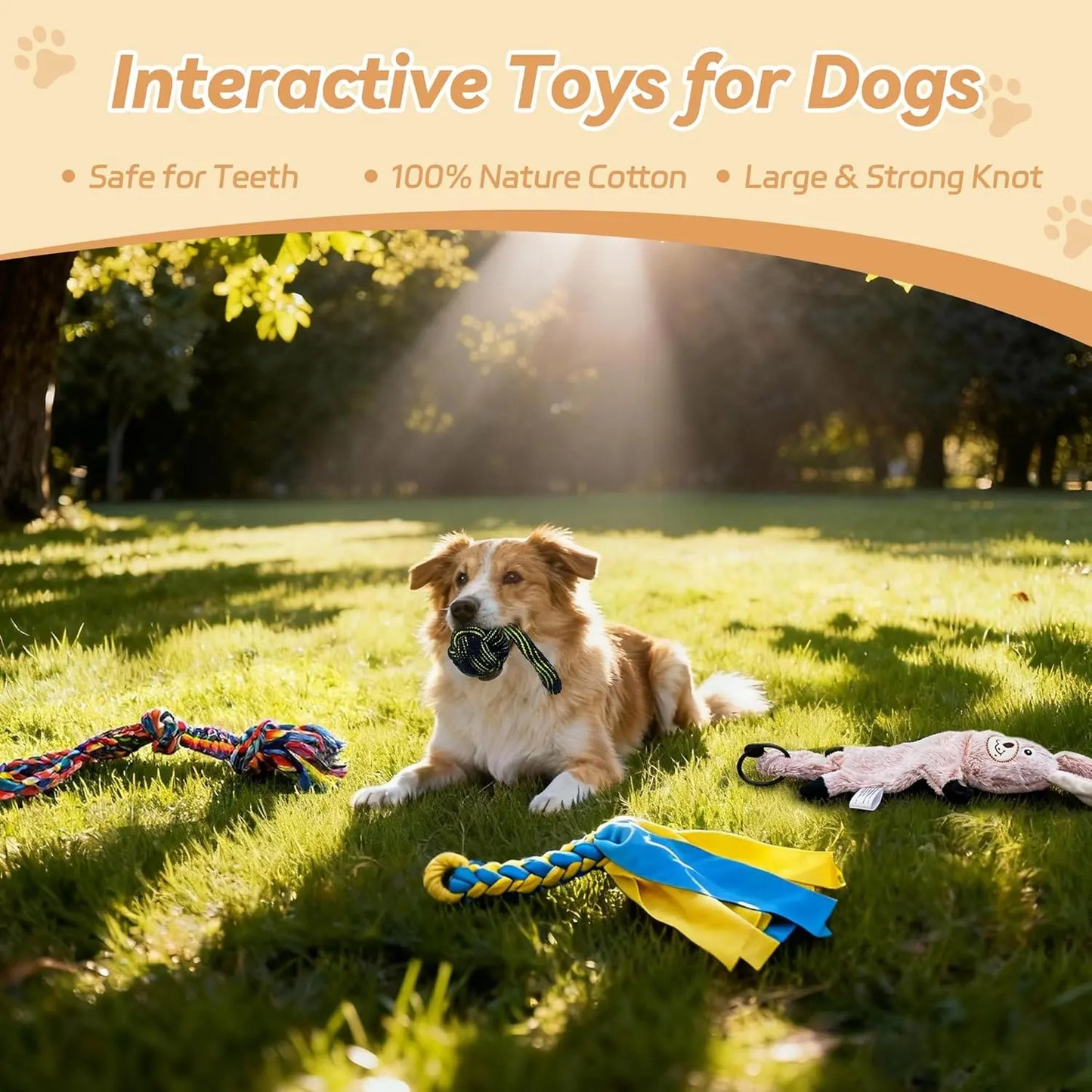 AmaCielo Flirt Pole and interactive dog toys on grass with a dog playing outdoors