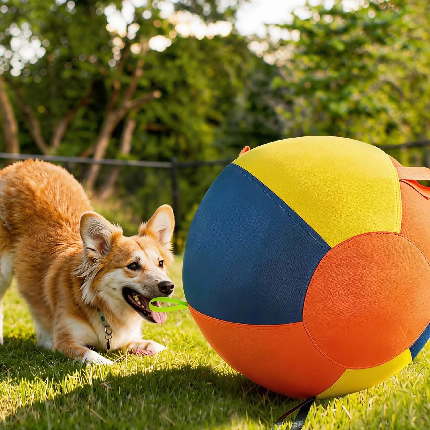 WarmMore Inc herding ball for a dog in bright yellow blue and orange with a playful dog outdoors