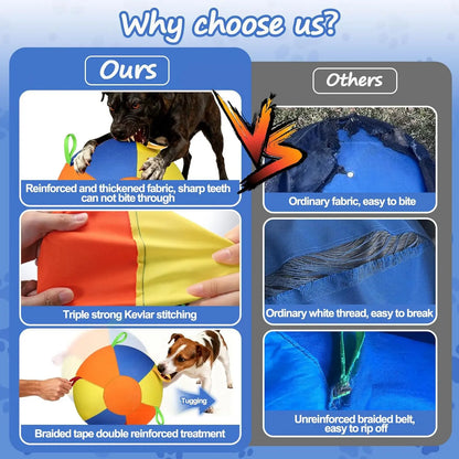 Comparison of WarmMore Inc herding ball for a dog with reinforced fabric and Kevlar stitching versus ordinary easy-to-break dog toys