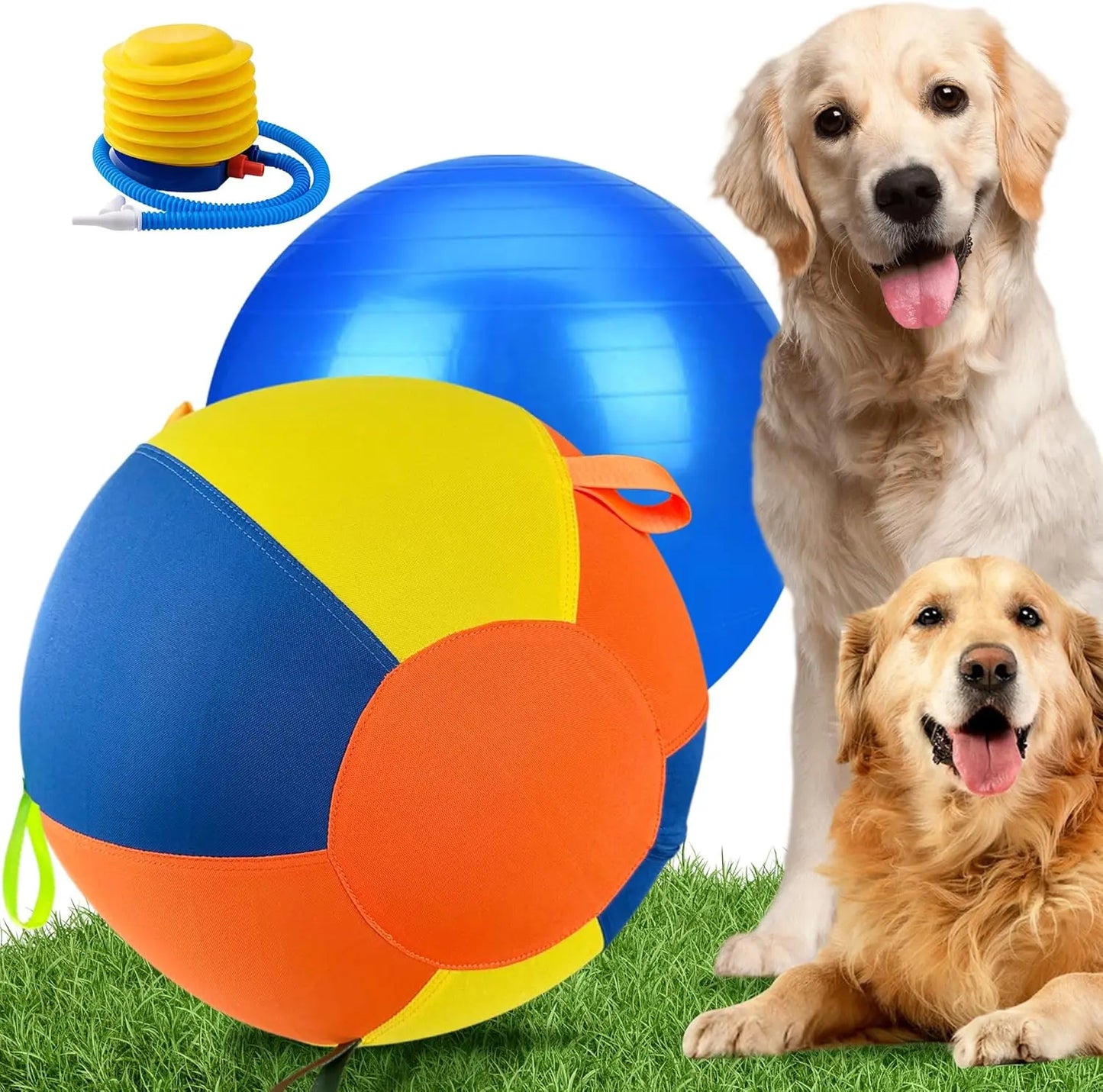 WarmMore Inc herding ball for a dog with pump and two happy golden retrievers on grass