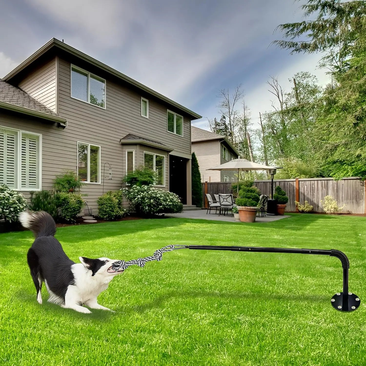 Interactive Tether Tug Dog Toy installed in backyard with black and white dog playing outdoors