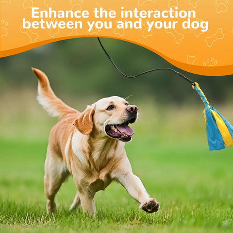GRETMIX flirt pole for dogs being used outdoors with a happy dog chasing the poodle dog toy