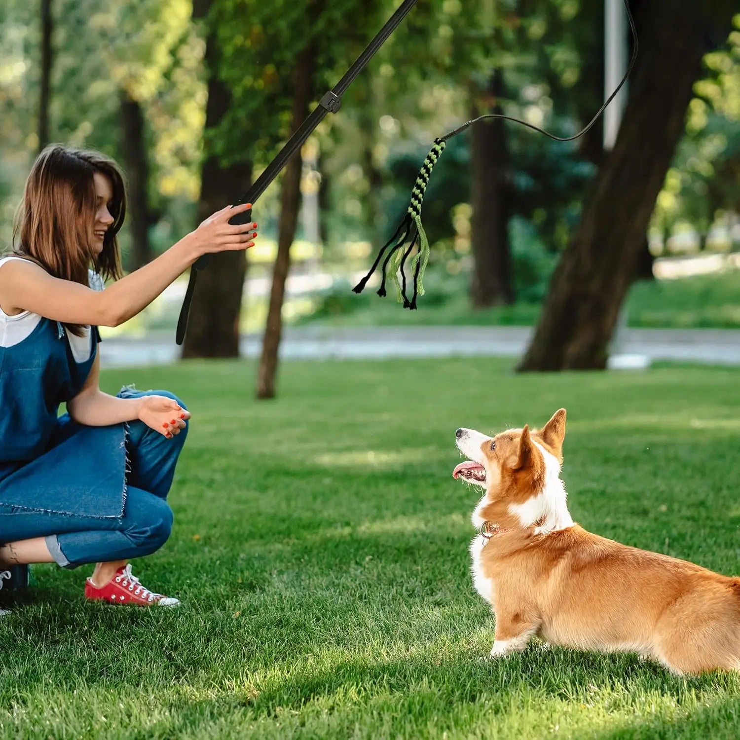 GRETMIX flirt pole for dogs held by woman playing with dog using poodle dog toy outdoors