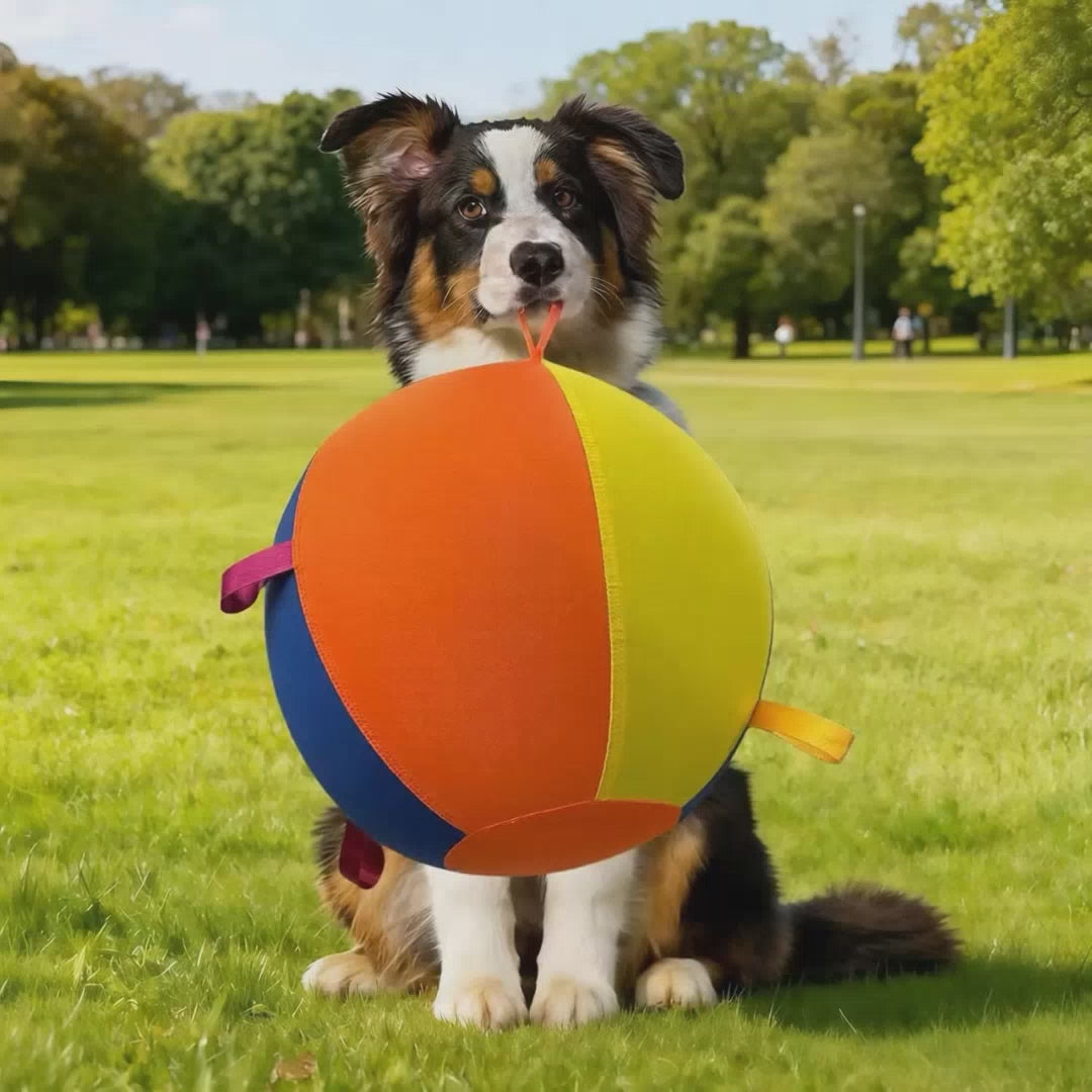 GRETMIX 18" Giant Herding Ball for Dogs - Durable Heavy Duty Collie Ball