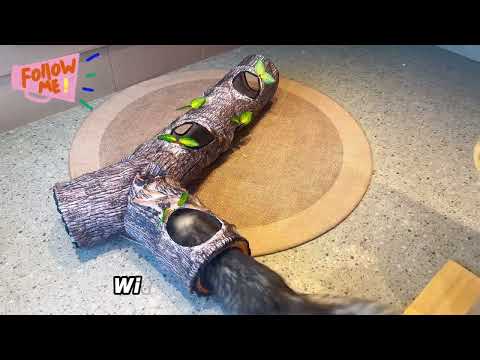 FelRelWel Foldable Cat Tunnels for indoor cats