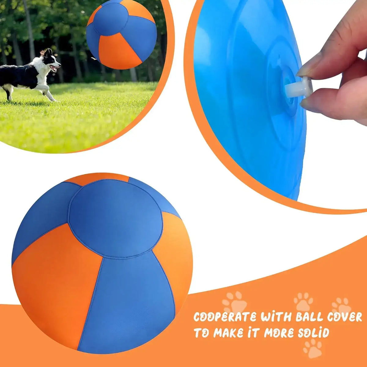 WarmMore Inc. herding ball in blue and orange for toy dog poodle training and play