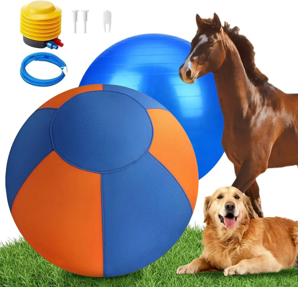 WarmMore Inc herding ball set with blue and orange ball, pump, horse, and golden retriever for toy dog poodle training