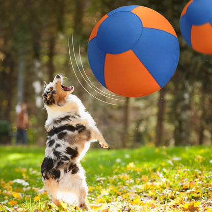 Toy dog poodle playing outdoors with WarmMore Inc herding ball in orange and blue colors