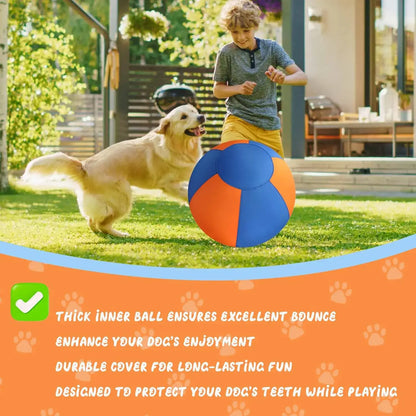WarmMore Inc herding ball in blue and orange designed for toy dog poodle outdoor play with children