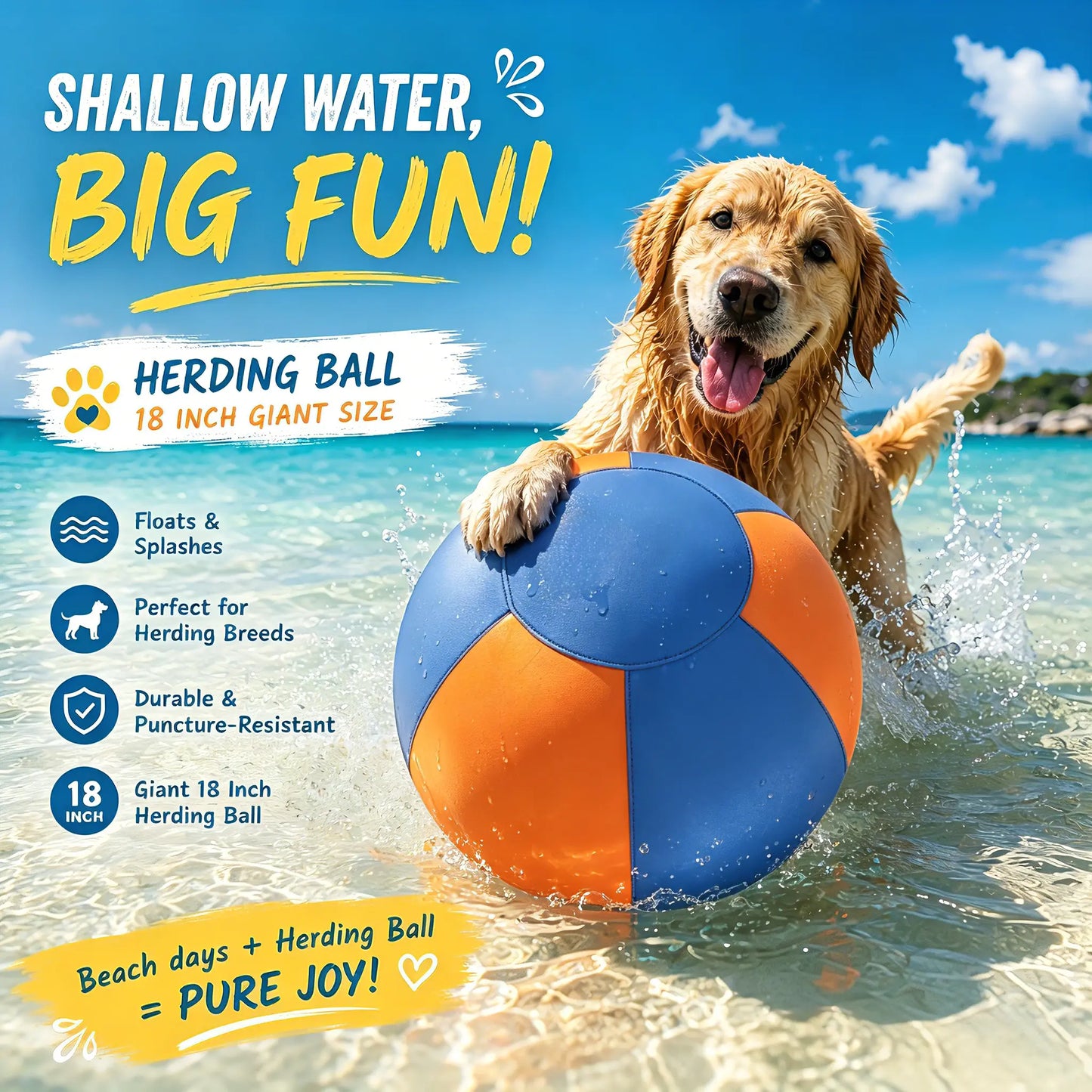 WarmMore Inc herding ball for toy dog poodle floating in shallow water with a happy dog