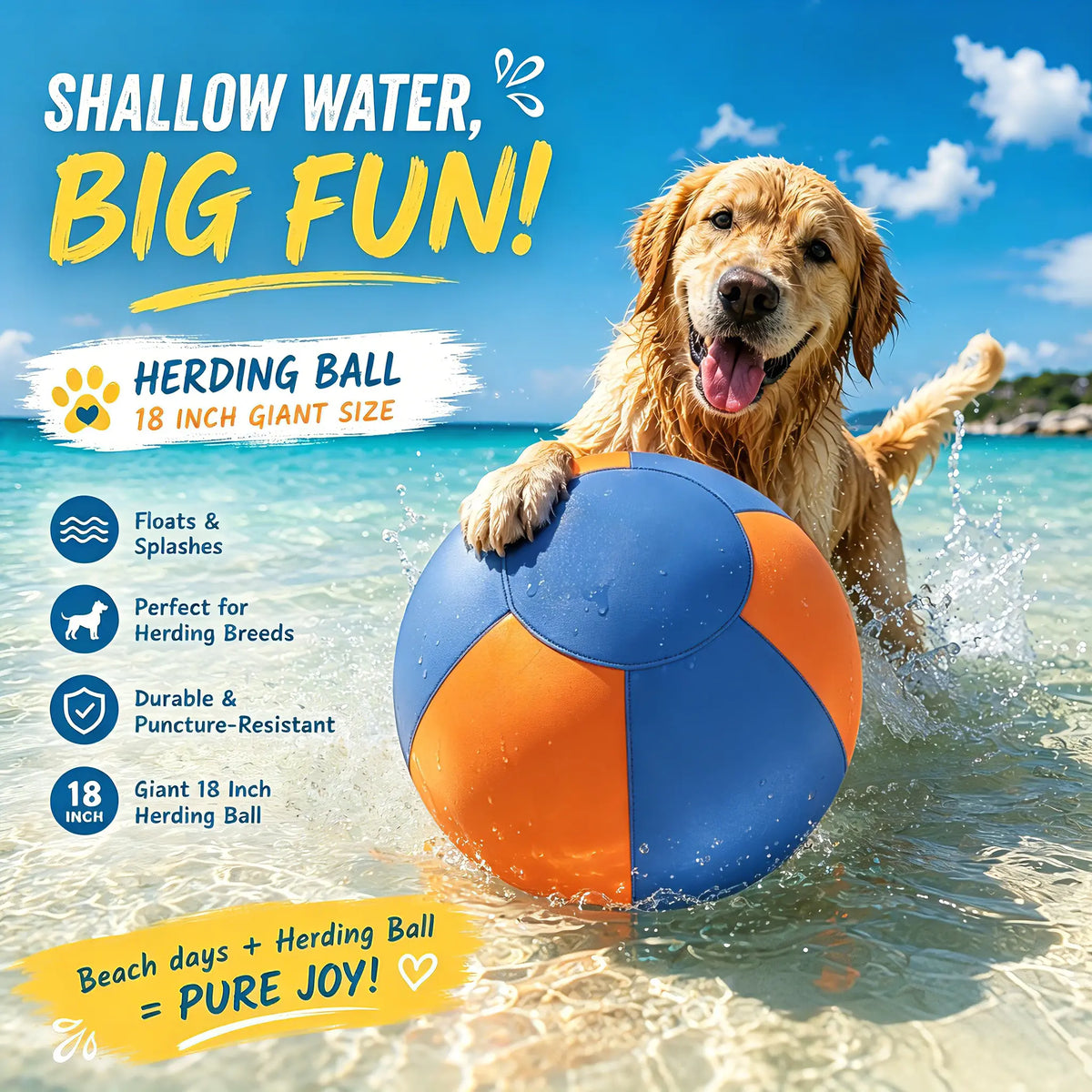 WarmMore Inc herding ball for toy dog poodle floating in shallow water with a happy dog
